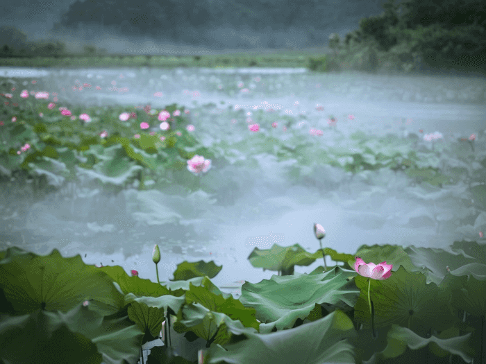 工程师和销售哪个好