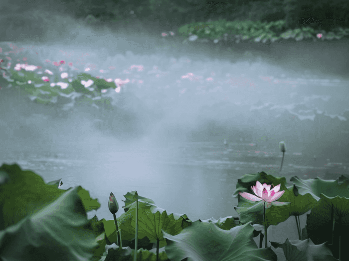 如何考药师资格证