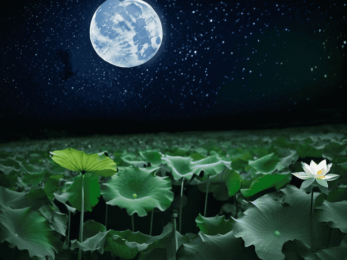 河水恐怖音乐叫什么