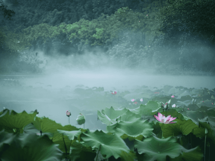 什么音乐能平肝火