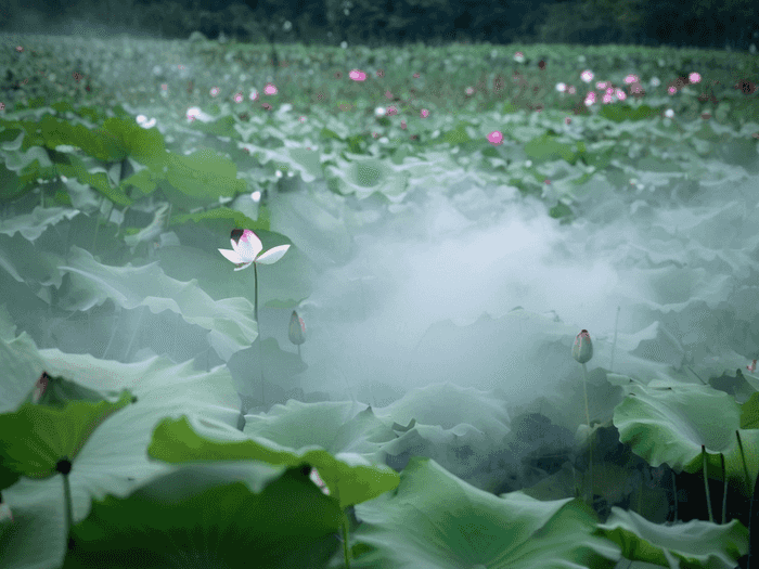 氢能产业就业前景如何
