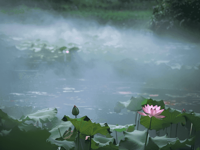张柏芝最热音乐叫什么