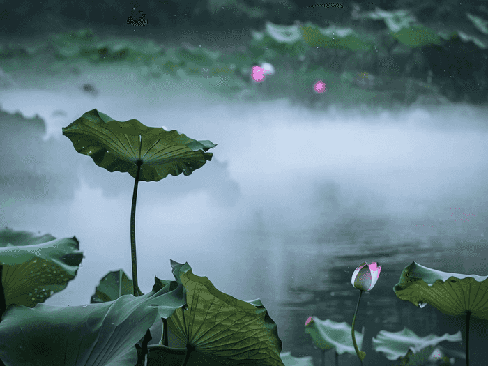 什么音乐配雨滴好听