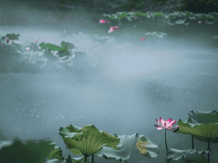 观众出场音乐叫什么