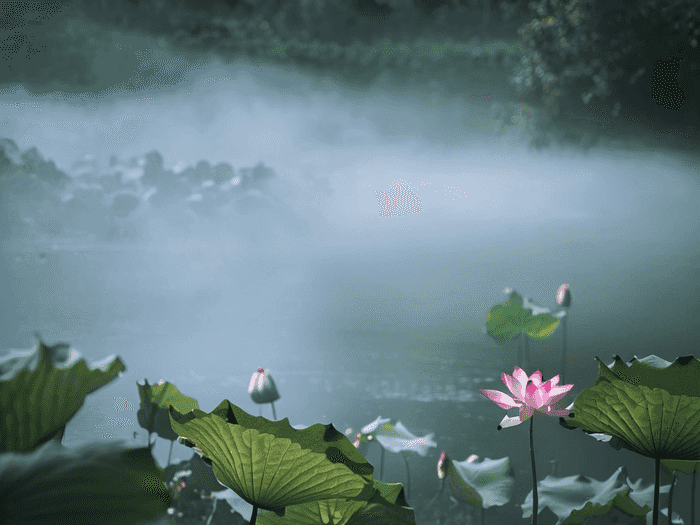 音乐翻版什么意思