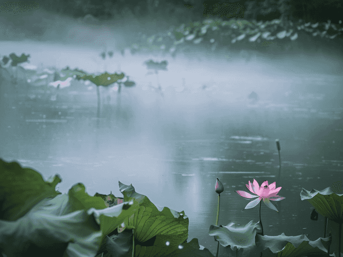 专场篮球音乐叫什么