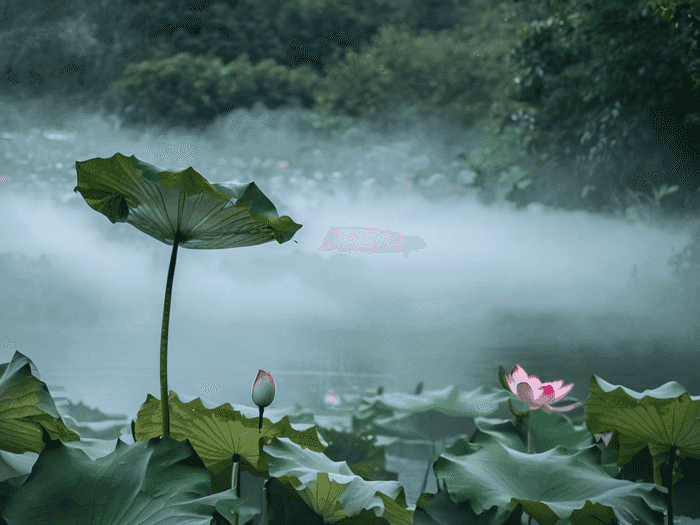 海水制氢好就业前景如何