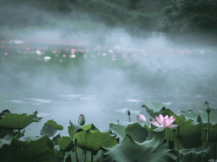 带花去学校如何表白