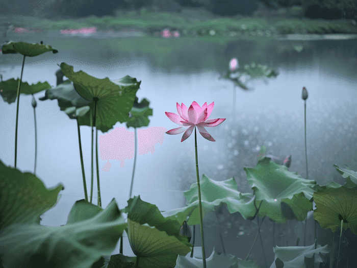 如何开冒菜点