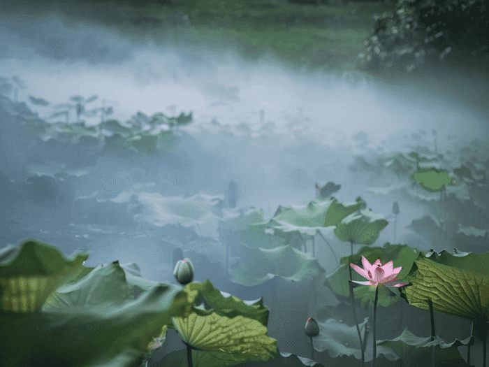 花式出场音乐叫什么