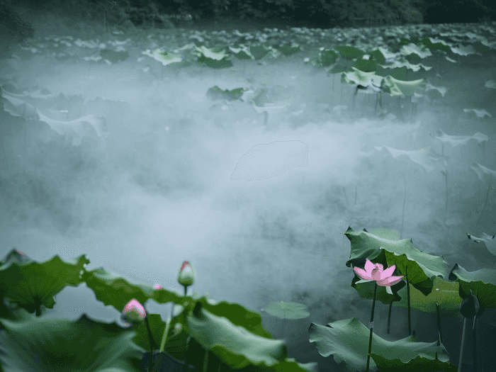 规范汉字指什么