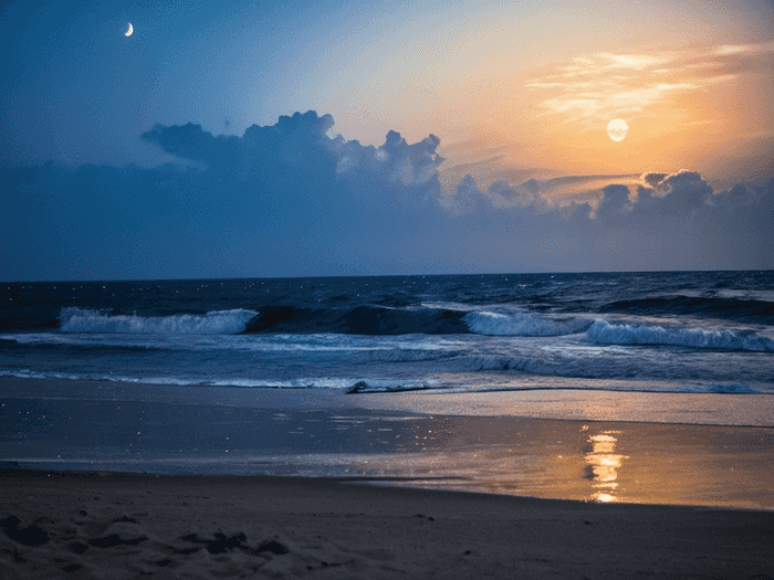 上海杨浦区在哪个县