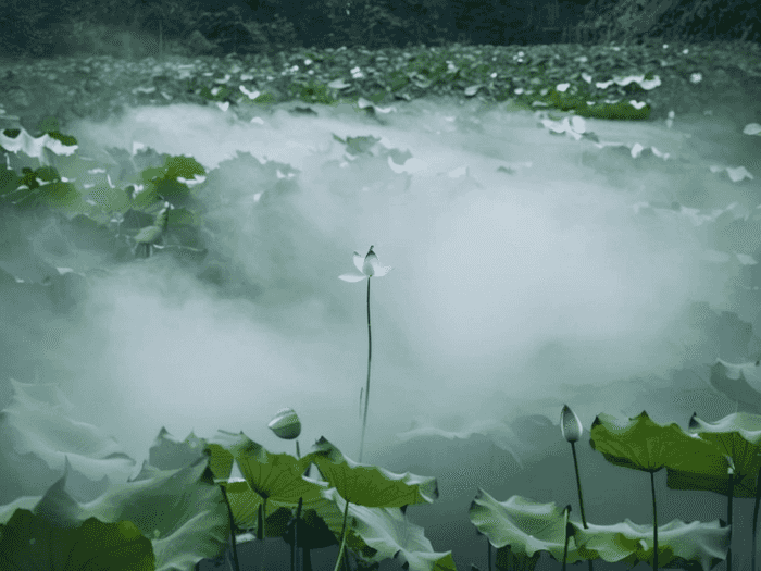 邵阳艺成和古峰哪个好