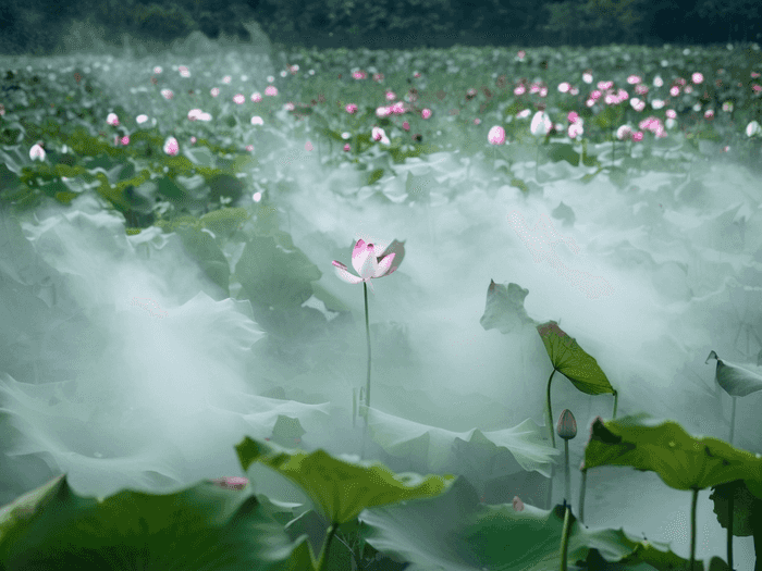 三兴专业面馆怎么样