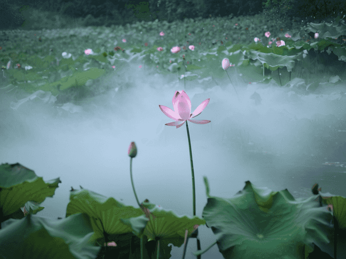 水晶石教育