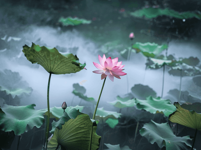 哈师大非师范专业怎么样