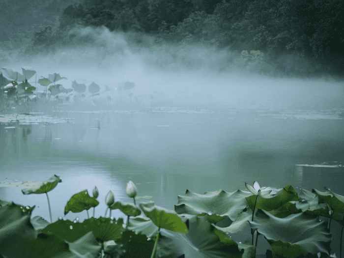 高职什么时侯开学