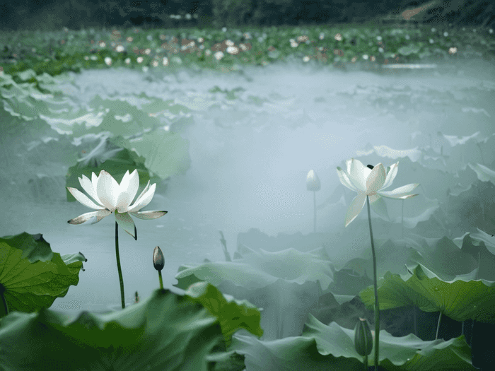 高职老师是什么
