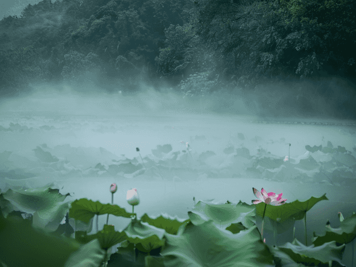 美术师范日语专业怎么样