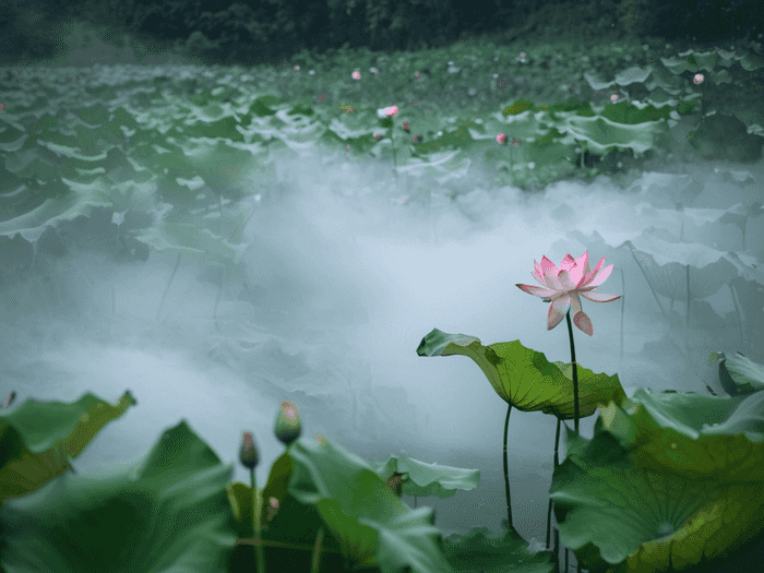 溧阳中专咋样