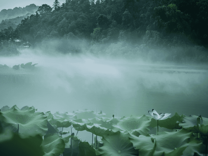 复旦风景园林专业怎么样