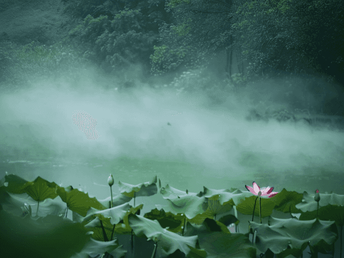 横井山泉水专业怎么样
