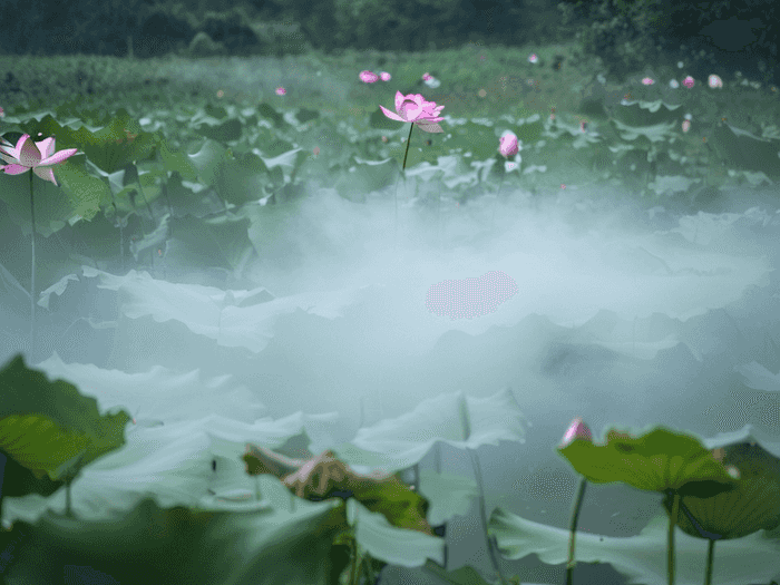 肥东有什么中专