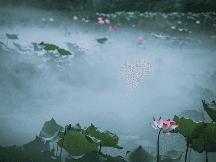 专业配方芦荟胶怎么样