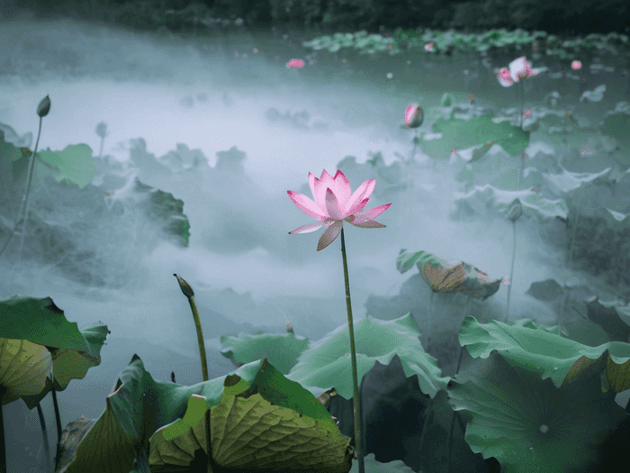 油画专业转插画师怎么样
