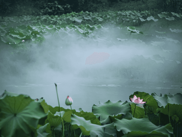 税务师税法1多少章