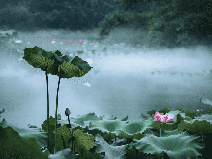 英语非师范专业去向怎么样