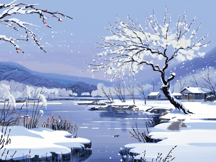 税务师宝藏老师是谁
