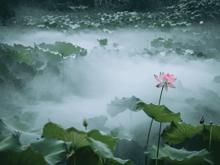 税务师考过了怎么处理