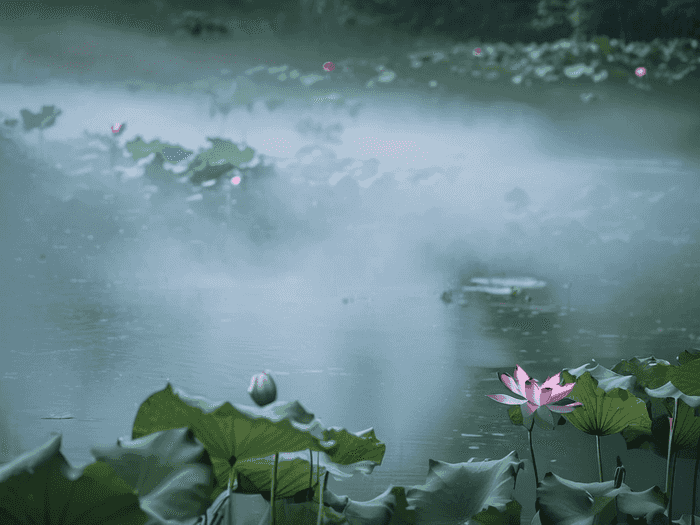 税务师各科要花多少时间