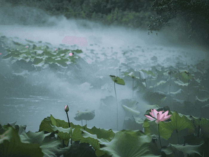 审计和税务师哪个证好