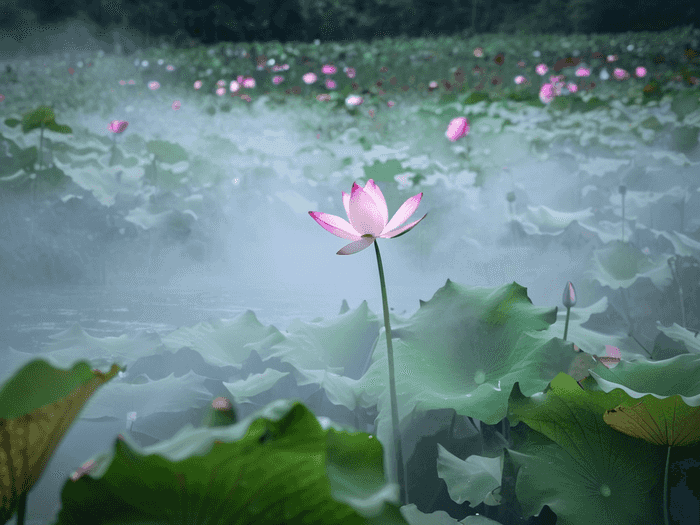 首师大琵琶专业怎么样考