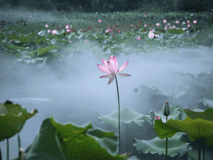 神大写怎么说英语单词