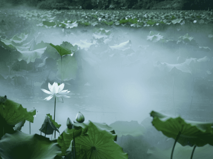山师音乐系专业怎么样