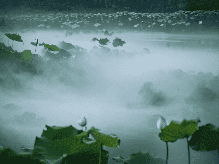 考税务师为什么那么少