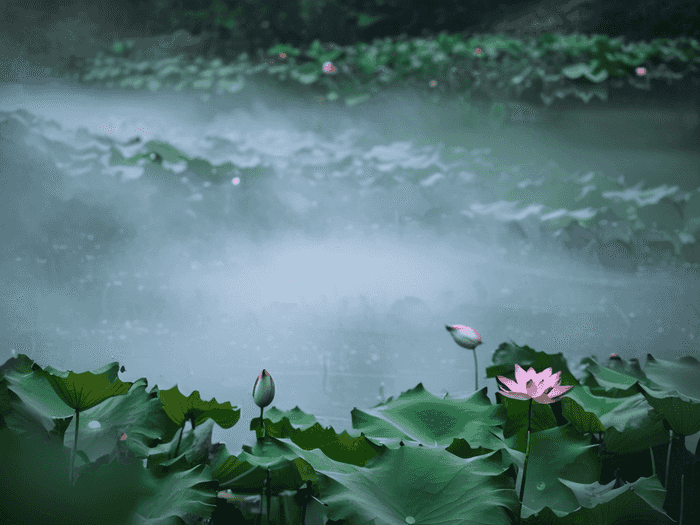 税务师可以取得多少补贴