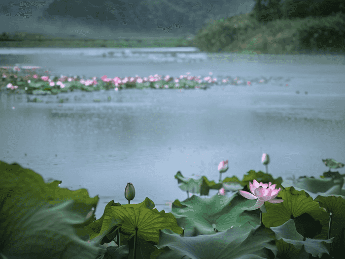 税务师选哪个培训机构好