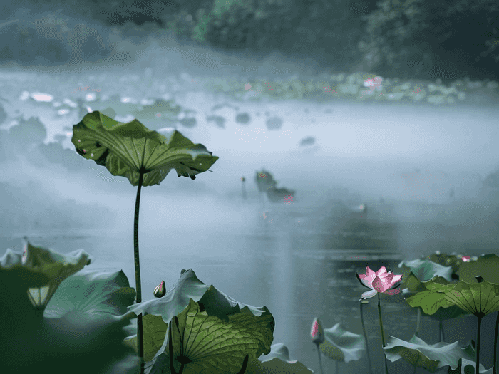 乐山师院书法专业怎么样