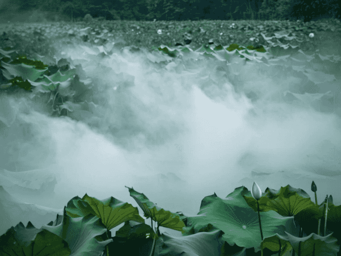 税务师每门多少分及格啊