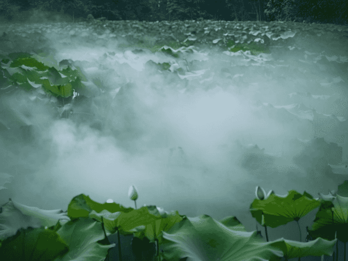 注册税务师辅导班怎么样