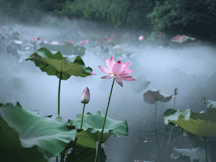 初级会计花多久