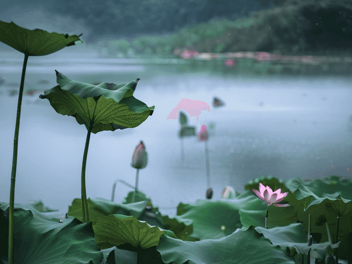 英语老师进大厂怎么样