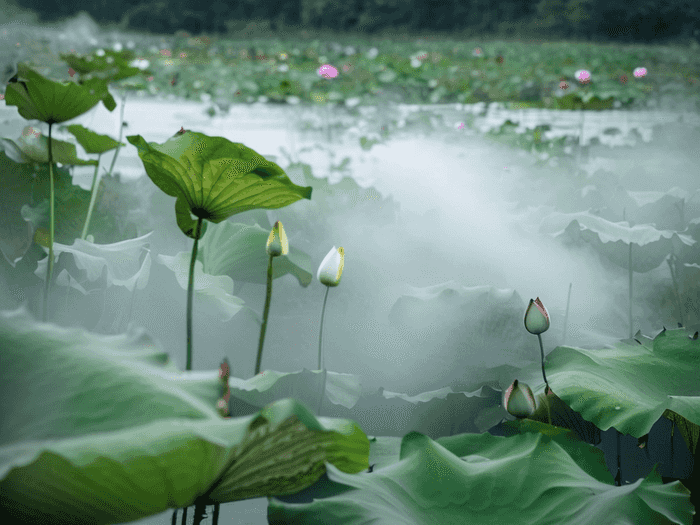 番鸭专业孵化师怎么样