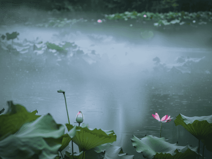 税务师怎么入门