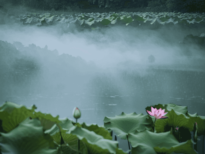 浙师大转英语师范怎么样