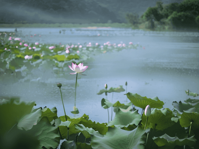 英语老师教师编怎么样